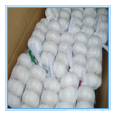 【供應2013年優質出口級純白大蒜,各種規格,有自己工廠】價格,廠家,圖片,蔥姜蒜類,金鄉縣遠大偉業進出口貿易-